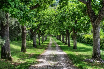 New Hampshire-Stratham-Stuart Farm Road. Beautiful simple AI generated image in 4K, unique.