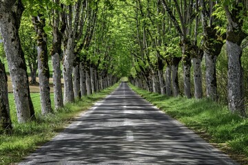 Obraz premium New Hampshire-Stratham-Stuart Farm Road. Beautiful simple AI generated image in 4K, unique.