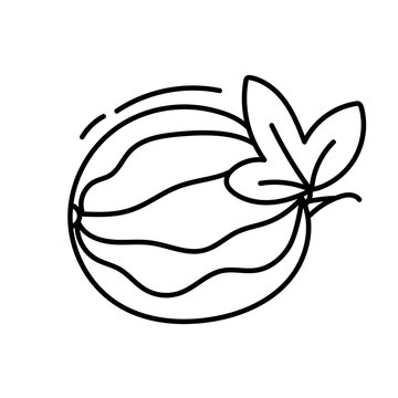 recommend clip art: Watermelon. Vector illustration in doodle style