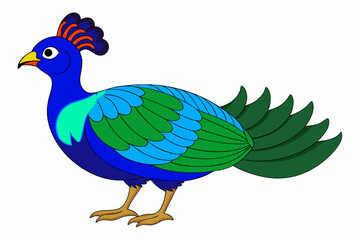 Colorful Himalayan Monal Bird Vector Illustration Clipart