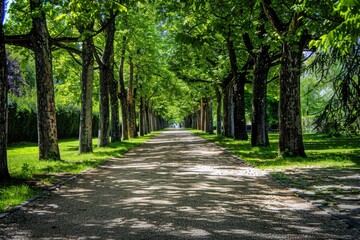 Fototapeta premium Germany, Mecklenburg-Western Pomerania, Ruegen, Bergen, Alley, cobblestone street. Beautiful simple AI generated image in 4K, unique.