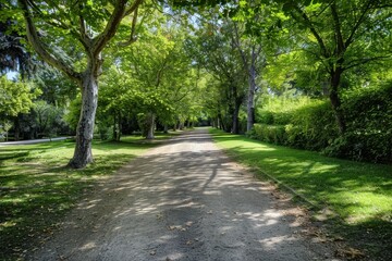 Obraz premium Tunnel-like Avenue of green Trees, Tree Footpath through Park in Spring. Beautiful simple AI generated image in 4K, unique.