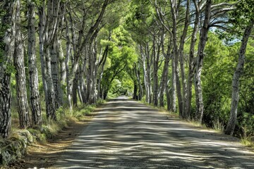Naklejka premium tree-lined street. Beautiful simple AI generated image in 4K, unique.