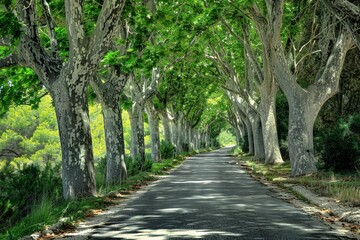 Naklejka premium Tunnel-like Avenue of green Trees, Tree Footpath through Park in Spring. Beautiful simple AI generated image in 4K, unique.