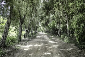 Fototapeta premium Route Arrossa Jean-Paul. Beautiful simple AI generated image in 4K, unique.