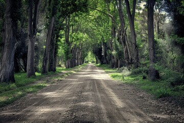Fototapeta premium Cobblestone Lane, Island of Ruegen, Mecklenburg-Western Pomerania, Germany. Beautiful simple AI generated image in 4K, unique.