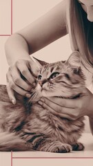 A woman petting a cat with her left hand while holding the animal's right ear, AI