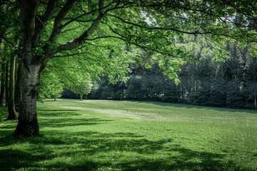 Naklejka premium Route Arrossa Jean-Paul. Beautiful simple AI generated image in 4K, unique.