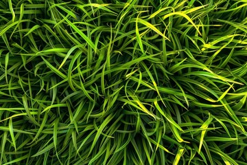 A battery-powered electric lawnmower drives across the field and cuts the grass.. Beautiful simple AI generated image in 4K, unique.