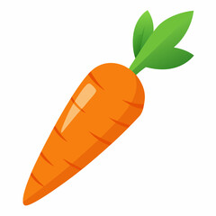 Carrot  art vector illustrator