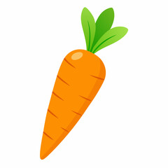Carrot  art vector illustrator