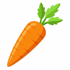 Carrot  art vector illustrator