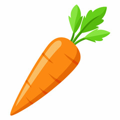 Carrot  art vector illustrator