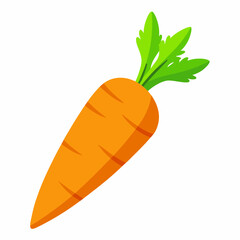 Carrot  art vector illustrator