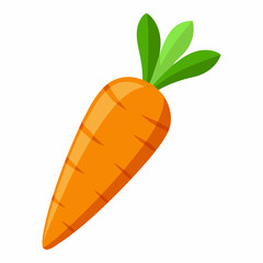 Carrot  art vector illustrator