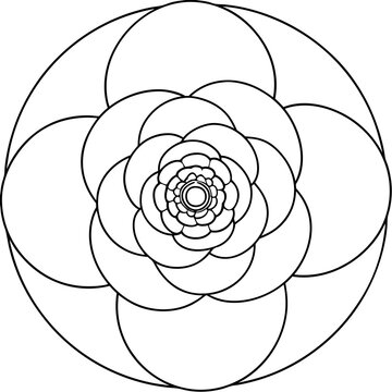 recommend clip art: An anemone flower line art in the middle art vector illustrator