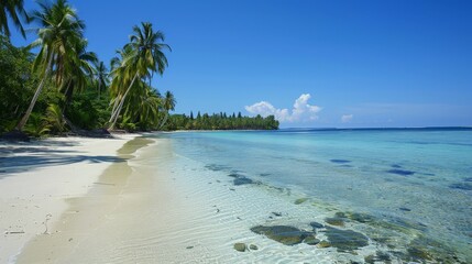 A dreamy beach scene featuring crystal-clear blue waters, soft white sands, and a peaceful, gently curving shore lined with tropical palm trees and lush greenery.