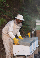 beekeeper preparing to open the hives