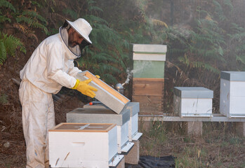 beekeeper preparing to open the hives