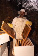 Beekeeper opening a hive frame on a bee farm