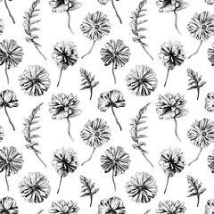 Seamless pattern vintage style. Hand drawn poppy flowers illustration.