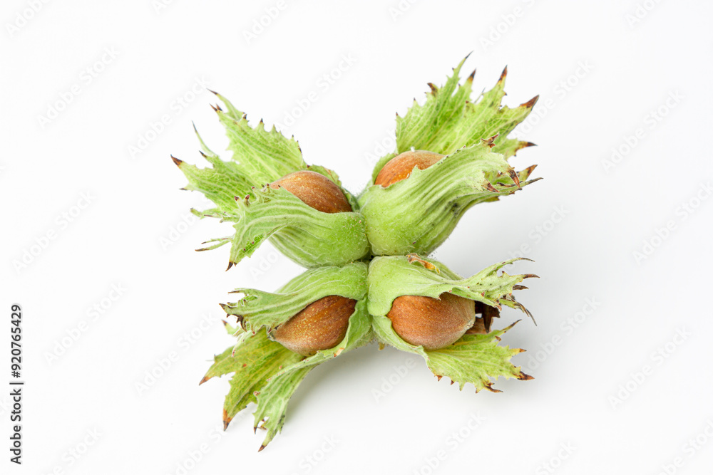 Canvas Prints Green hazelnut on isolated white background