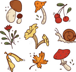 Set of autumn forest plants: mushrooms, leaves, berries. Autumn season. Hand drawn cartoon vector illustrations. Autumn collection. Set of isolated forest elements.