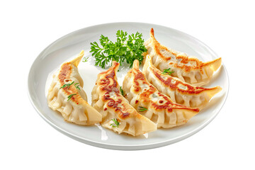 Fototapeta premium Gyoza with garnish, Japanese food