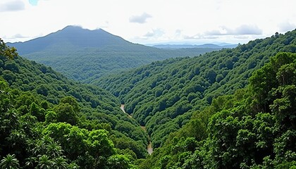 Fototapeta premium Vibrant forest with winding path leading to majestic mountain peak
