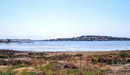 landscape with reeds and lake