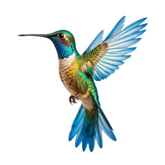 Obraz premium a Kingfisher Bird on Isolated transparent background png. generated with AI
