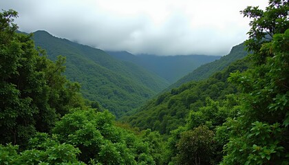  Enchanting forest view with majestic mountains in the distance