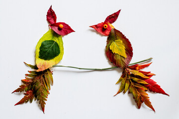 colorful autumnal leaves, creative ideas for children, composition, isolated