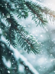 Pine tree adorned with snow, capturing a moment of tranquil winter beauty.