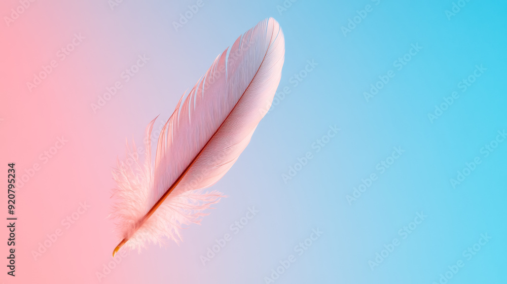 Poster isolated feather floating in mid air against a soft gradient background light and airy concept for m