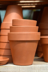 Wooden shelf with empty terracotta flower pots