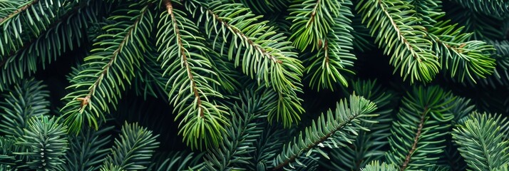 This closeup image showcases vibrant green pine branches, highlighting their intricate texture and rich color, making them ideal for natureinspired themes and designs, adding a refreshing touch