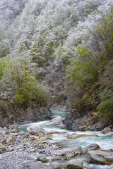 Tanaro river rising in the Ligurian Alps, Piedmont region, Province of Cuneo, Italy