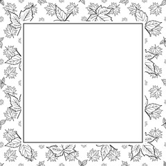 Frames elegant design set contourn maple leaves.Black and white doodle style drawing. White background.
