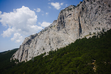 landscape in the mountains