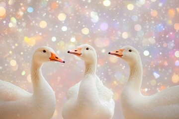 Obraz premium Three magic geese with a sparkling backdrop behind them, art background, poster