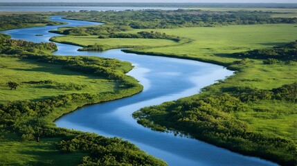 Lush Verdant Wetland Landscape with Winding Waterways and Vibrant Foliage