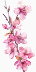 Spring Blossoms: Pink Number Four with Spring Flowers in Vintage Watercolor Style