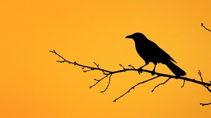 Small white ghost with a tiny pumpkin. Halloween concept.