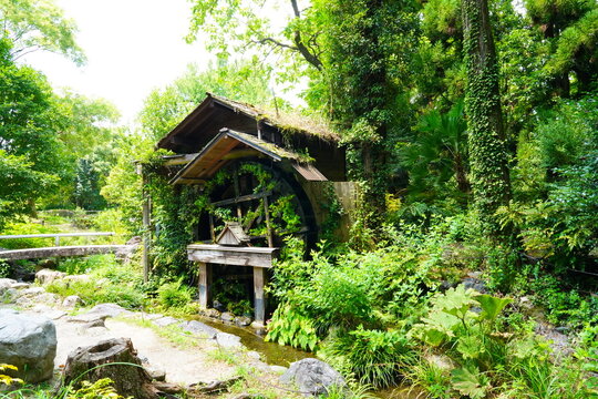 水車小屋と日本庭園」の写真素材 | 475件の無料イラスト画像 | Adobe Stock