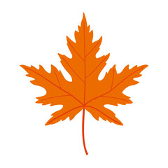 Autumn maple leaf. Hand drawn trendy flat style isolated. autumn leaf, golden season. Vector illustration