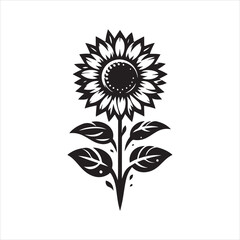 Sunflower Illustration