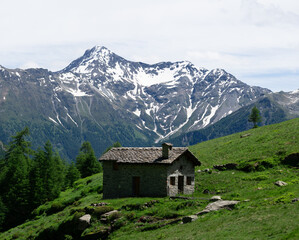 The Alpe Ledine with its typical houses and high mountain pastures, near the town of Chiavenna, Lombardy - June 15, 2024
