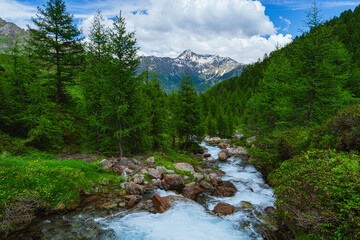 Obraz premium the view of spluga valley and its mountains from the small town of Olmo, near Chiavenna, Italy - 20 June 2024