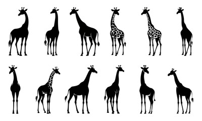 Set of giraffe silhouette vector illustration